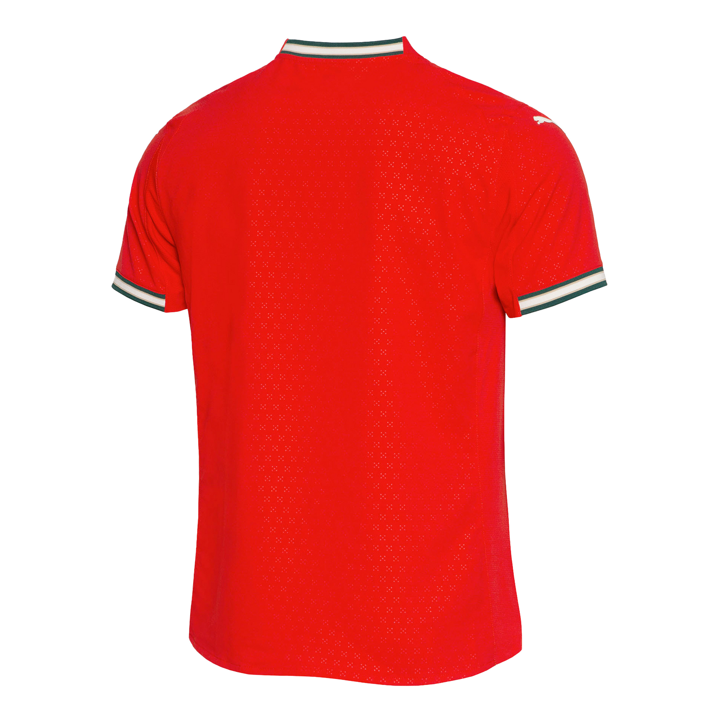 Dos du Maillot Portugal Domicile 2025/2026 Version Joueur Puma