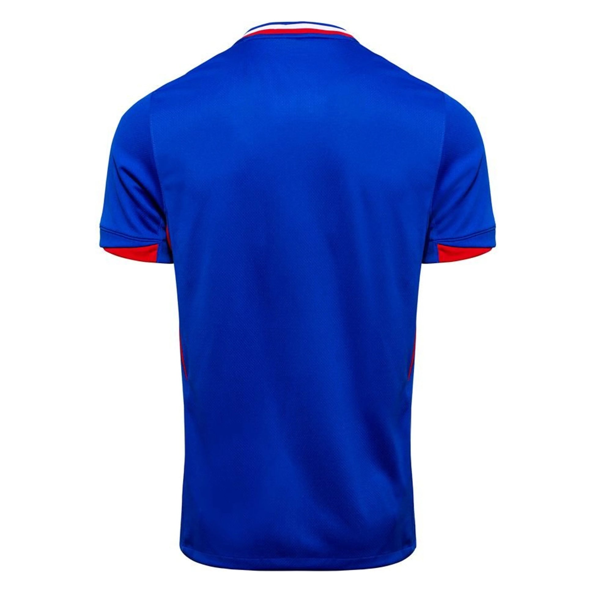 Dos du Maillot France Domicile 2024/2025 Nike