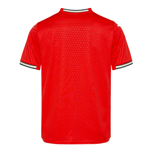 Dos du Maillot Portugal Domicile 2025/2026 Puma