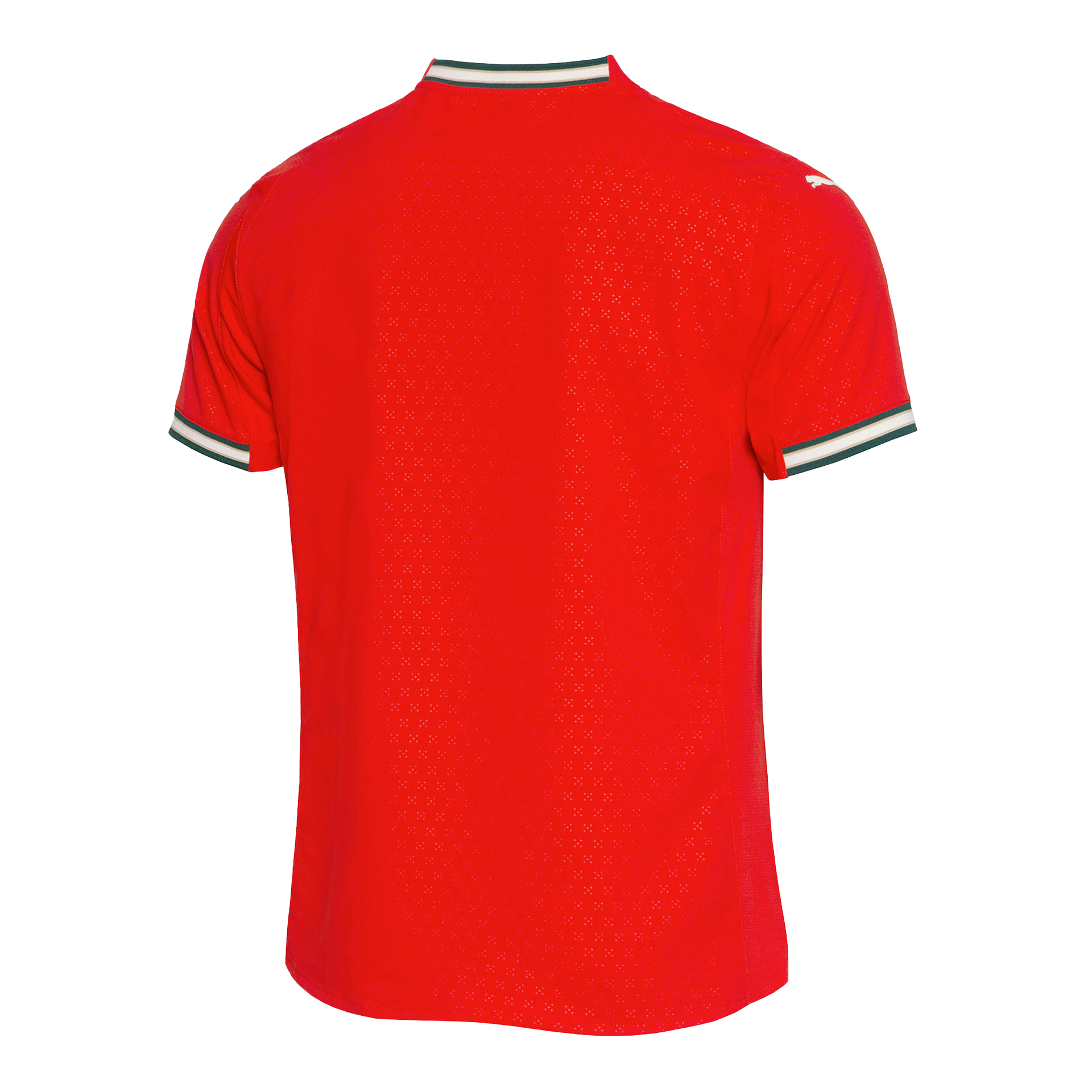 Dos du Maillot Portugal Domicile 2025/2026 Version Joueur Puma