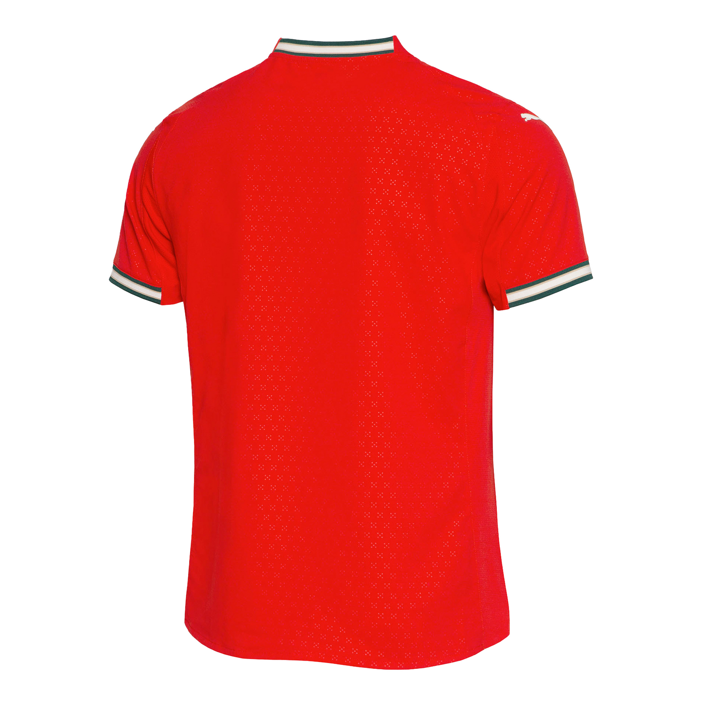 Maillot Portugal Domicile 25/26 - Version Joueur